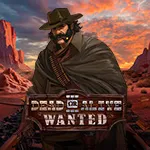 Dead or Alive 3: Wanted